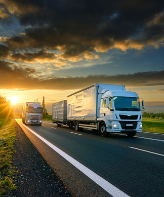 Select the purpose of your travel - Lorry Drivers